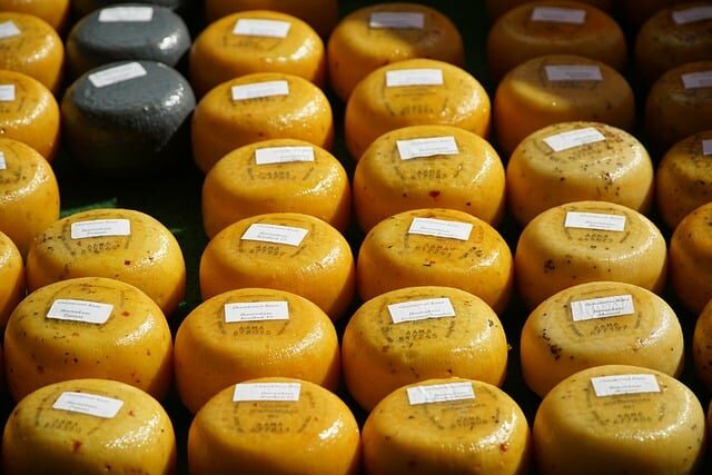 historia del queso en espana 2 tipos de quesos del mundo