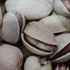 Negocio El Colmao De Miguelturra
